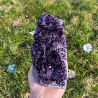 A beautiful deep purple amethyst druse