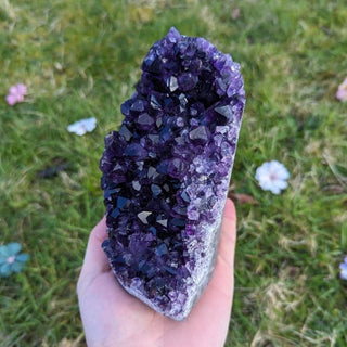 A beautiful deep purple amethyst druse
