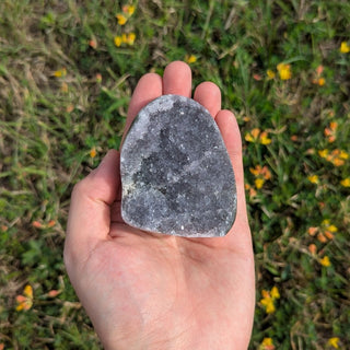 Amethyst Druse