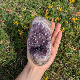 Amethyst Druse