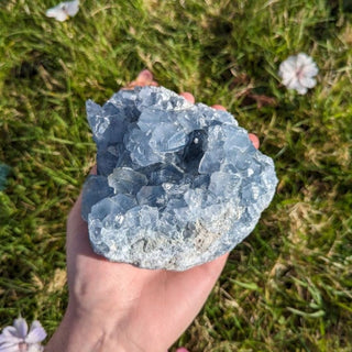 A beautiful soft blue celestite geode