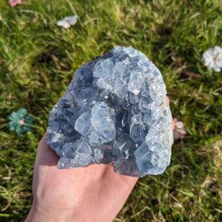 A beautiful soft blue celestite geode