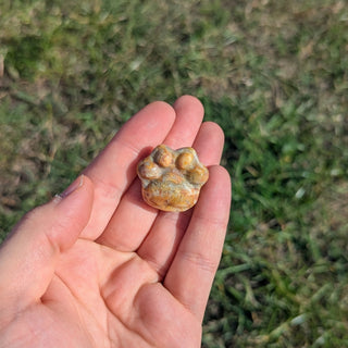Crazy Lace Agate carved crystal paw