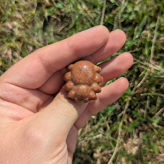Mini Goldstone Spider
